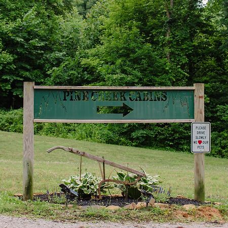 Pine Creek Cabins & Camping Resort South Bloomingville Exterior foto